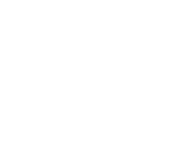 Max-Flow-Pump-pressure.png MAX FLOW PUMP