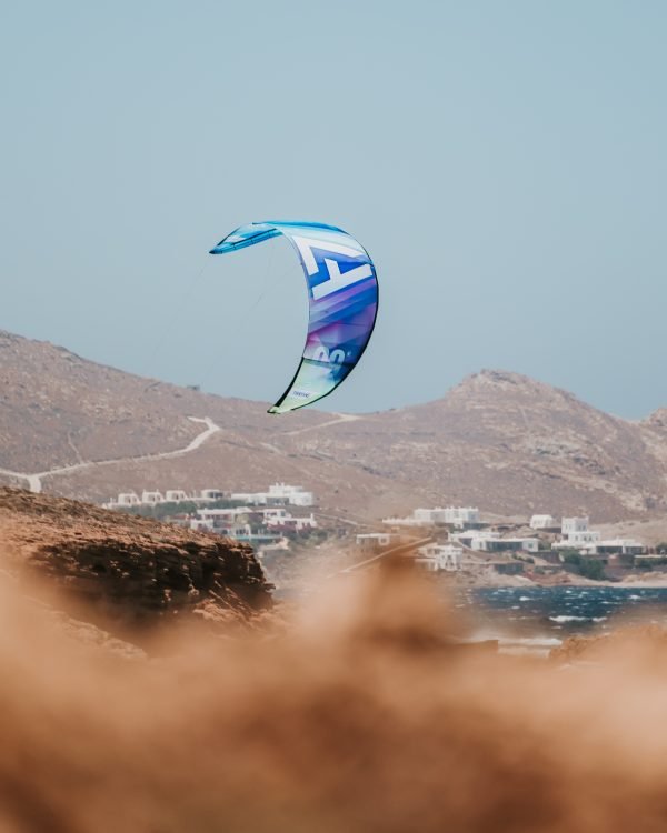 HARLEM THRIVE BY BRAINCHILD